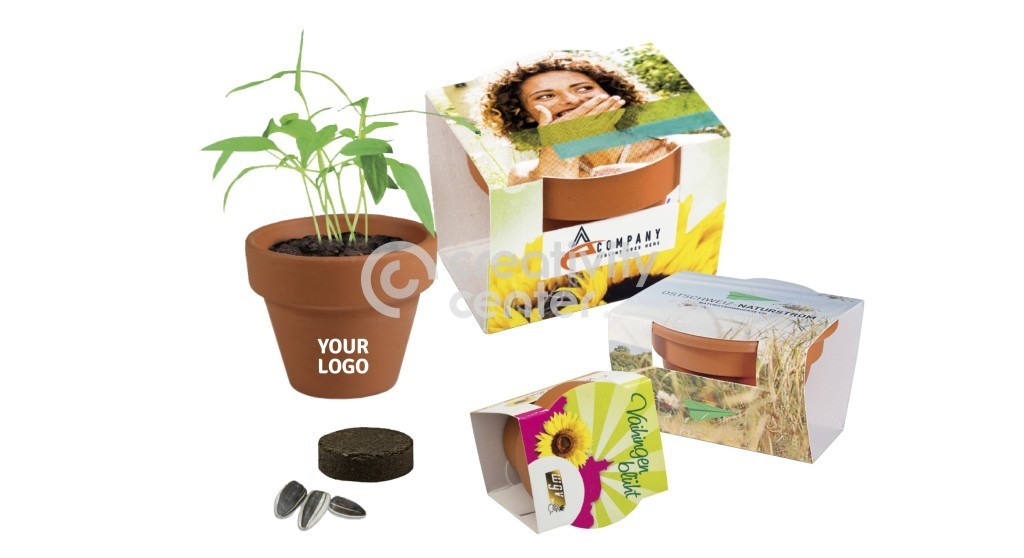 Vaso Flor