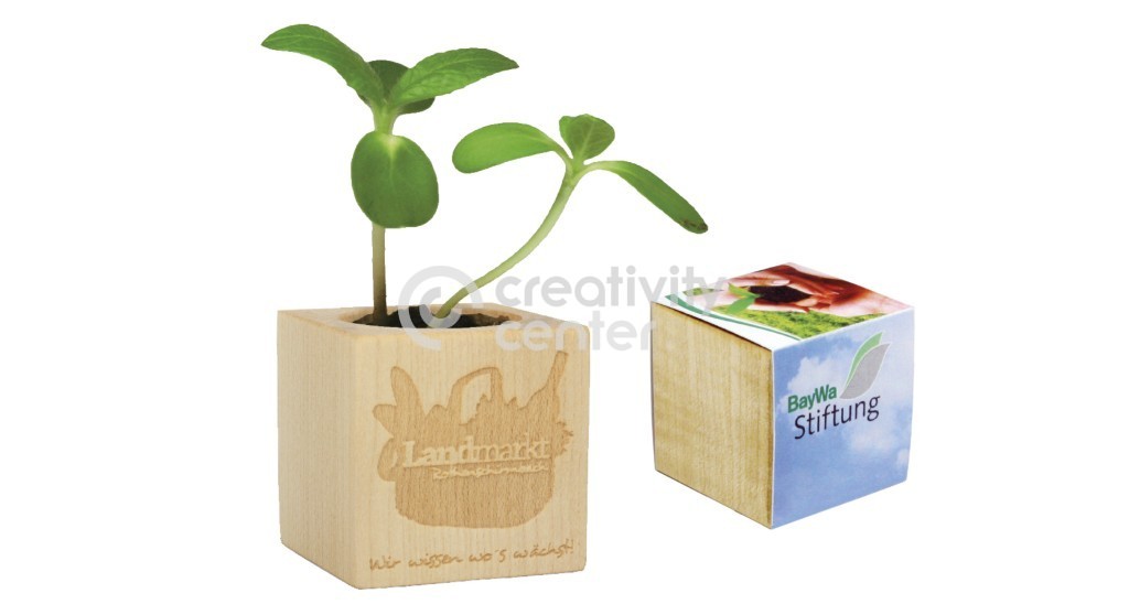 Cubo Legno Fiorito BIG