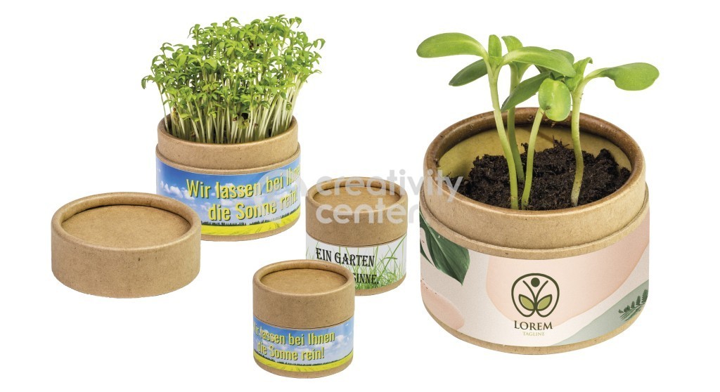 Eco Pot in Fiore